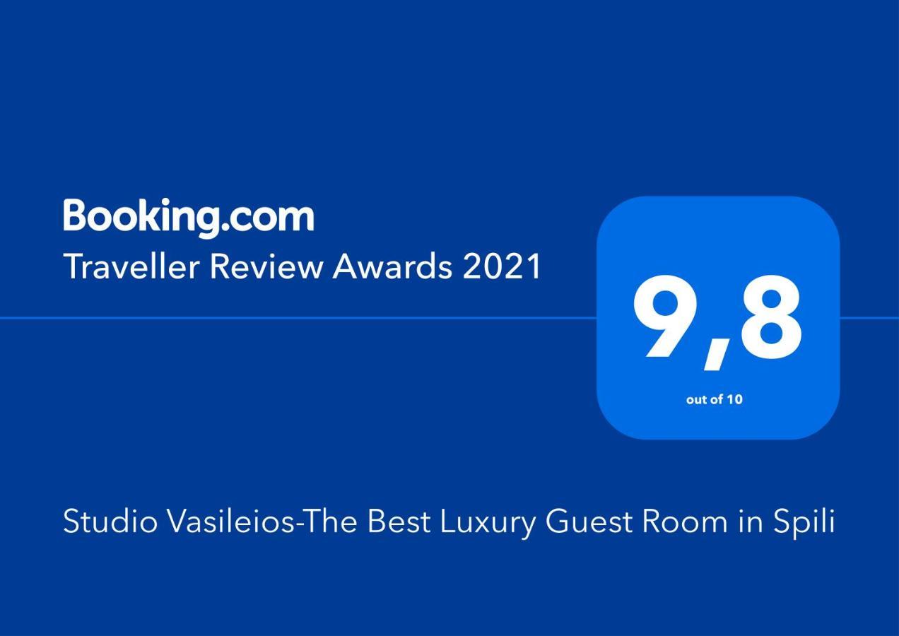 Studio Vasileios-The Best Luxury Guest Room In Spili Spílion 外观 照片
